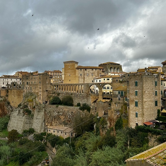 Meet your Posher, Patricia - Picture 3 of 9